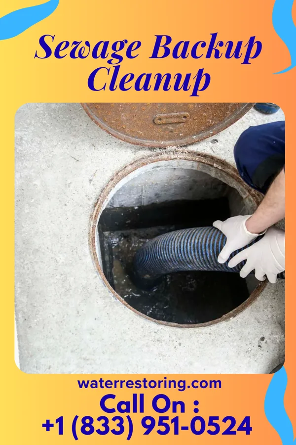 Sewage Backup Cleanup in Horseshoe Bend, AR